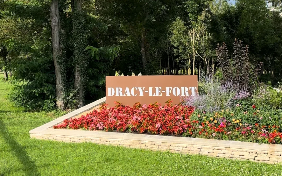 Vendre Rapidement ma maison à Dracy-le-Fort : Conseils et Astuces